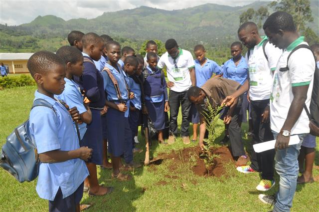 School Tree Planting