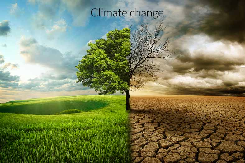 Understanding Climate Change Training